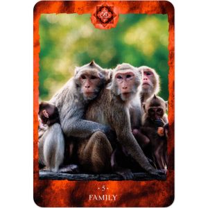 Chakra Reading Cards - Ảnh 6