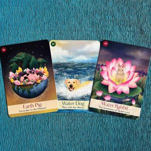 Chinese Five Elements Oracle - Ảnh 11