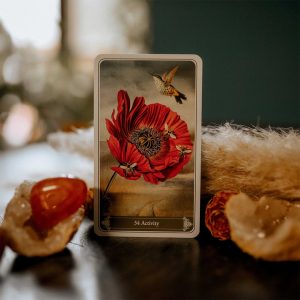 Christephania Kipper - Ảnh 6