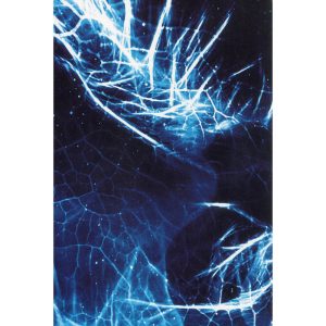Cosmic Reading Cards - Ảnh 5