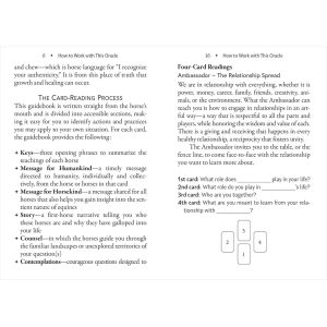 Council of Horses Oracle - Ảnh 13