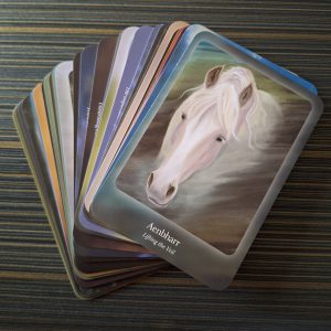 Council of Horses Oracle - Ảnh 16