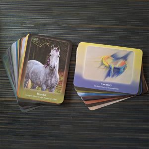 Council of Horses Oracle - Ảnh 17