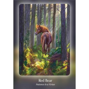 Council of Horses Oracle - Ảnh 2