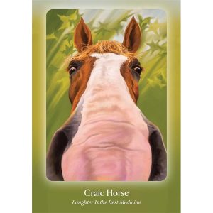 Council of Horses Oracle - Ảnh 3