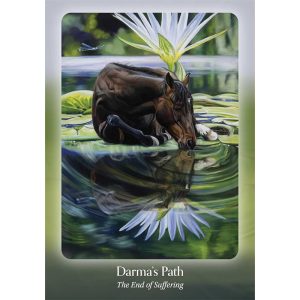 Council of Horses Oracle - Ảnh 4
