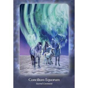 Council of Horses Oracle - Ảnh 6