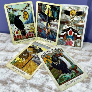 Crow Tarot - Pocket Edition - Ảnh 12