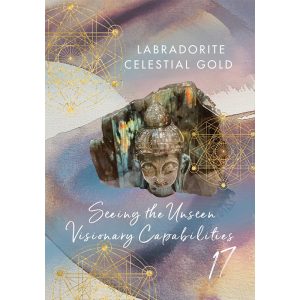 Crystal Sound Healing Oracle - Ảnh 9