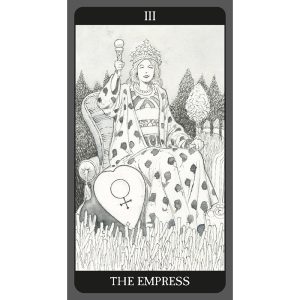 Dark Side of Tarot Kit - Ảnh 3