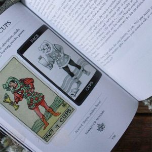 Dark Side of Tarot Kit - Ảnh 12