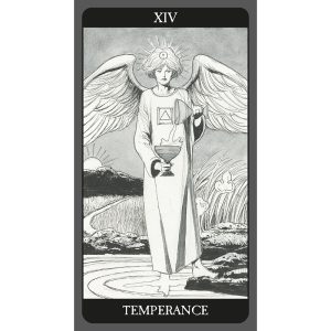 Dark Side of Tarot Kit - Ảnh 6
