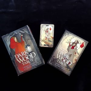 Dark Wood Tarot - Ảnh 12