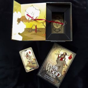 Dark Wood Tarot - Ảnh 14