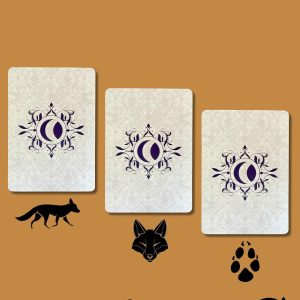 De La Nuit Lenormand Oracle - Ảnh 11