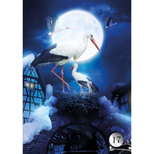 De La Nuit Lenormand Oracle - Ảnh 6