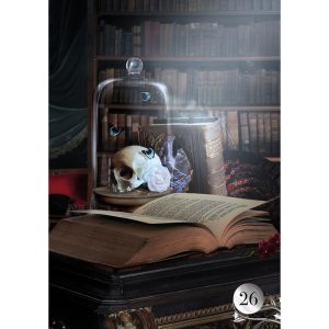 De La Nuit Lenormand Oracle - Ảnh 7