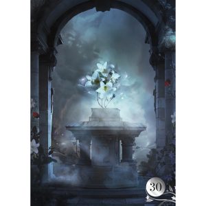 De La Nuit Lenormand Oracle - Ảnh 8