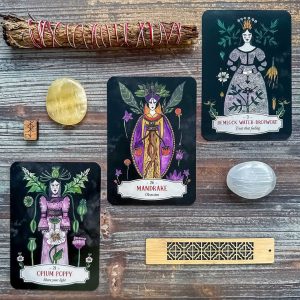 Deadly Apothecary Oracle - Ảnh 12