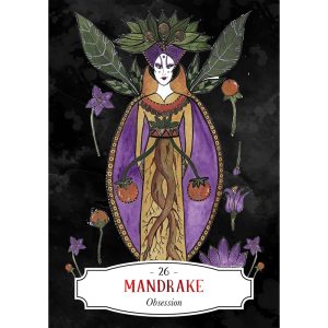 Deadly Apothecary Oracle - Ảnh 3