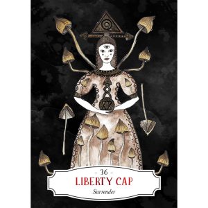 Deadly Apothecary Oracle - Ảnh 5