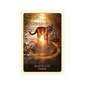 Divination of the Ancients Oracle Cards - Ảnh 7