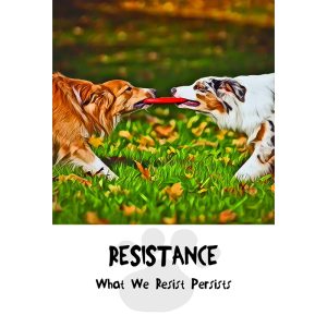 Divine Dog Wisdom Cards - Ảnh 4