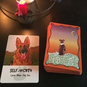 Divine Dog Wisdom Cards - Ảnh 5