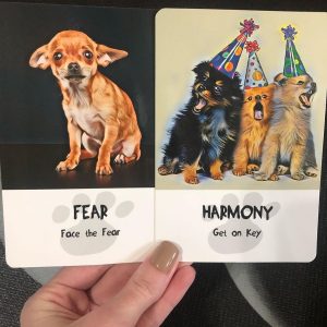 Divine Dog Wisdom Cards - Ảnh 6