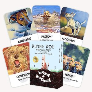 Divine Dog Wisdom Cards - Ảnh 7