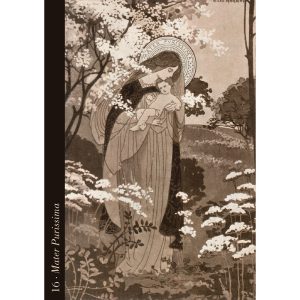 Divine Light Oracle - Ảnh 4