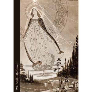 Divine Light Oracle - Ảnh 5