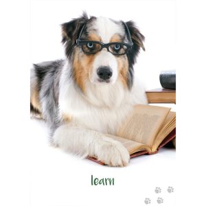 Dog Wisdom Cards - Ảnh 6