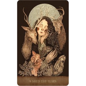 Dream Song Oracle - Ảnh 5