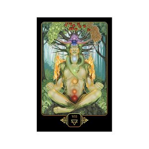 Dreams of Gaia Tarot - Ảnh 8