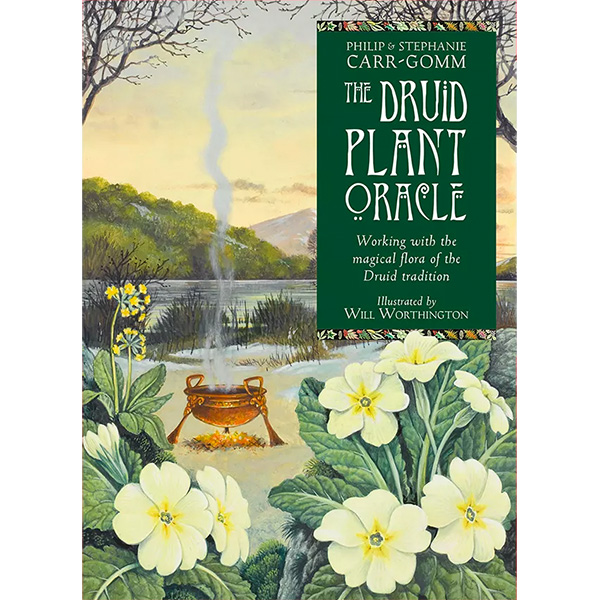 Druid-Plant-Oracle-1.jpg