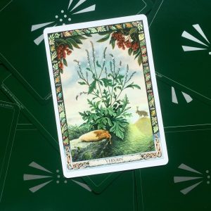 Druid Plant Oracle - Ảnh 3