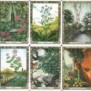 Druid Plant Oracle - Ảnh 8