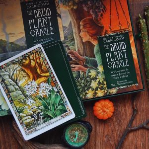 Druid Plant Oracle - Ảnh 5