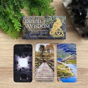 Druid Wisdom Cards - Ảnh 10