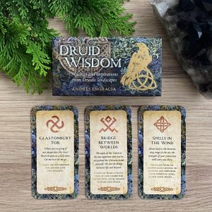 Druid Wisdom Cards - Ảnh 11