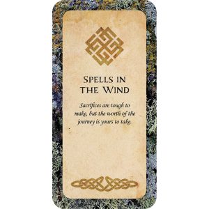 Druid Wisdom Cards - Ảnh 3