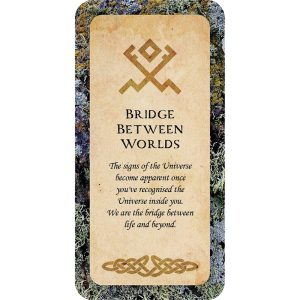 Druid Wisdom Cards - Ảnh 5
