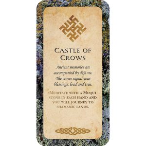 Druid Wisdom Cards - Ảnh 9