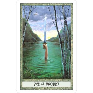DruidCraft Tarot - Bookset Edition - Ảnh 6