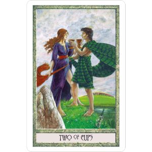 DruidCraft Tarot - Bookset Edition - Ảnh 7