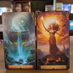 Druidic Tarot - Ảnh 14