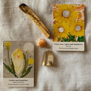 Earth Alchemy Oracle - Ảnh 7