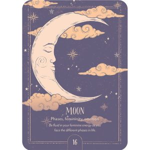 Earth Song Oracle - Ảnh 3