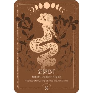 Earth Song Oracle - Ảnh 5